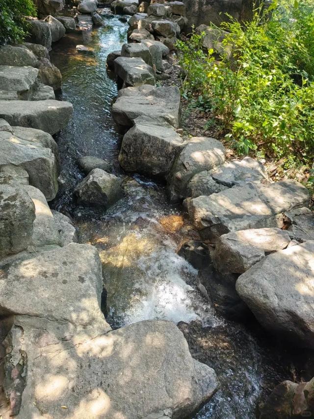 苏州这些地方只有27℃！进来“划水”！