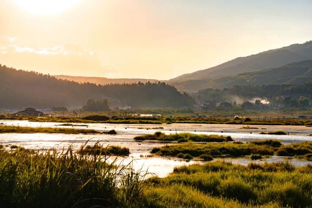 腾冲银杏季｜4天5夜黄金攻略，把金黄、温泉、烟火全打包～