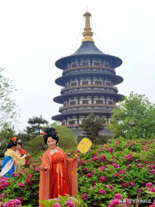 做几天洛阳人——游河南洛阳赏牡丹芬芳 总体概述(四)