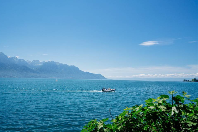 再访瑞士，世界丛林中目睹小国的生存之道