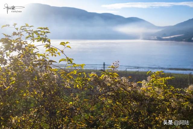 大理有个水库跟金沙江相通,风光潋滟,是本地人露营的宝藏去处