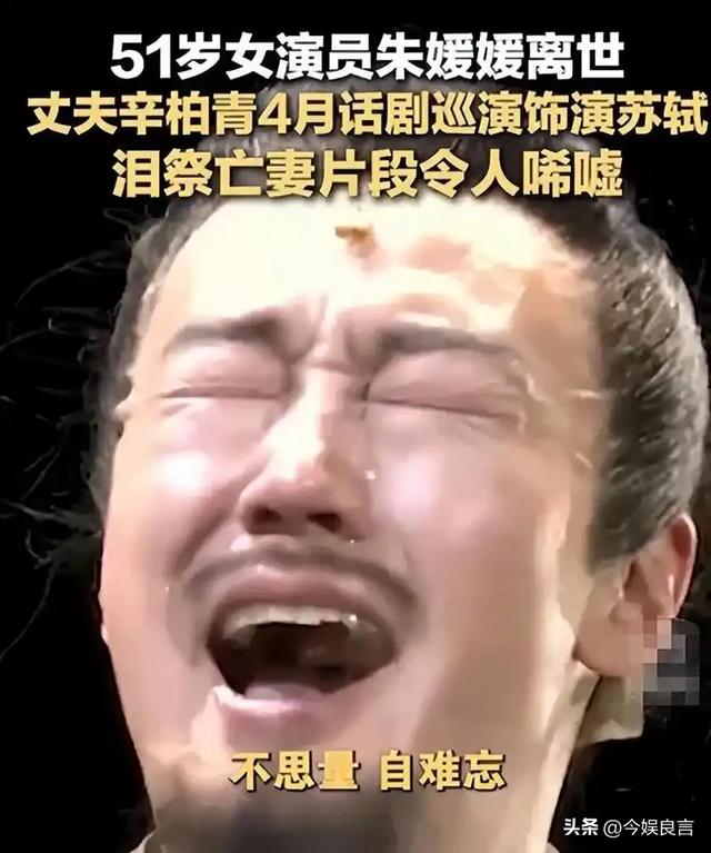 辛柏青丧妻刚满100天，恶心的事就发生了，被撮合娶马伊琍引争议