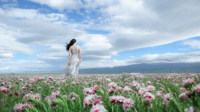 我的旅居生活：在苗族村寨，我们枕着溪水声入眠