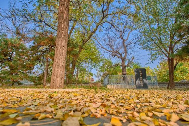 太全面了！8条游玩线路+京郊汤泉！带您玩转北京这里！（1）