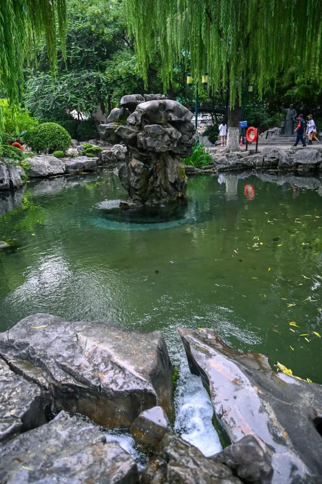 月牙泉“醒”了！济南泉水迎来最佳观赏期！