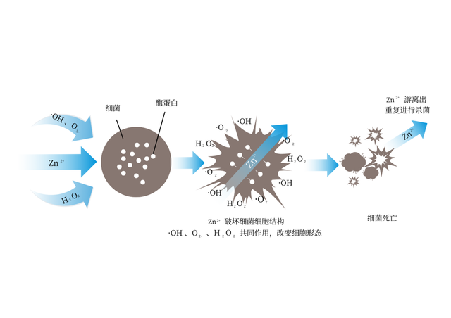 从清洁到健康：扫地机器人的抗菌进化之路