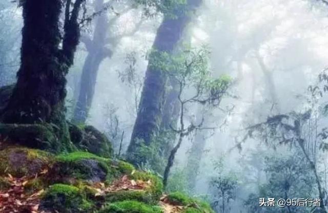 世界上只有中国才有的十大神奇景观，去过一半，都是大神级别！