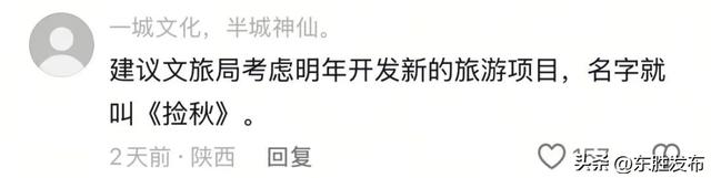 内蒙古土豆，“捡”的咋比买的还香？