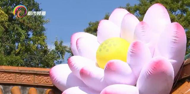 暑期翠湖花样多 等你来打卡