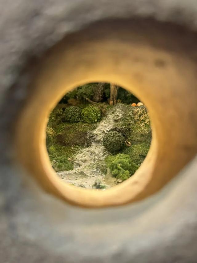 上海科技馆焕新升级，今天面向公众开启首场压力测试！小布带你探营→