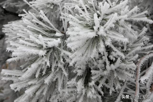 绝美!三江大塘坳惊现“琉璃仙境”!