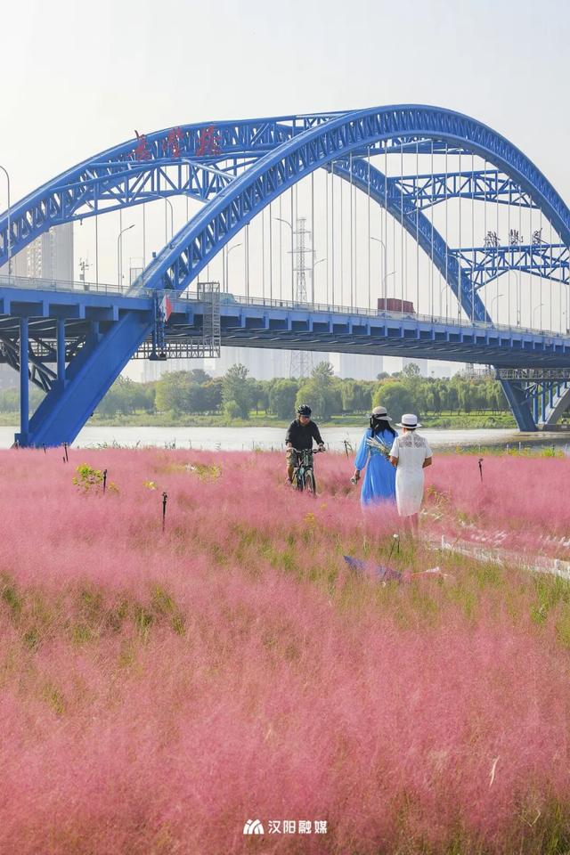 汉阳，变色……了