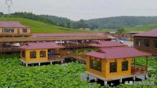 辽源“花海王国”：300亩芍药绽放，一年仅美20天，错过要等一年