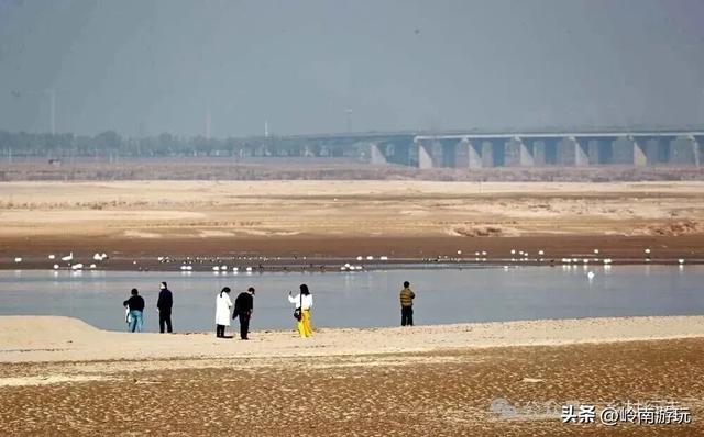 西安出发1.5小时,渭南北拾村上千只白天鹅在等你,内附详细攻略