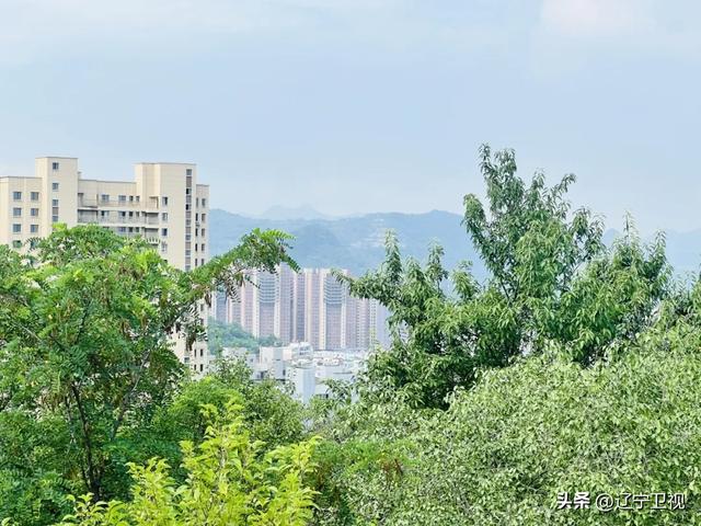 清晨6点的本溪烟火江湖！东北早市的快乐，谁懂啊？