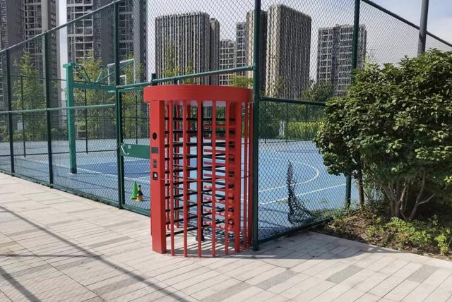 重庆中心城区规模最大，秋日橙色花海“上新”！