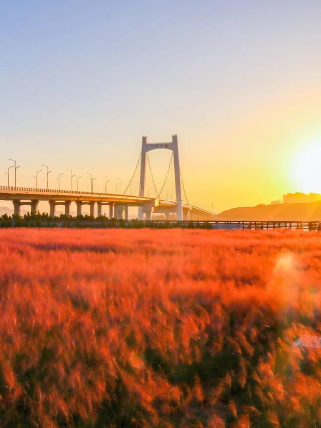 烟台秋日绝色盛宴筹备中，走！寻秋去！