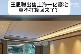 网曝王思聪出售豪宅，可能正在远离网友的视线图片