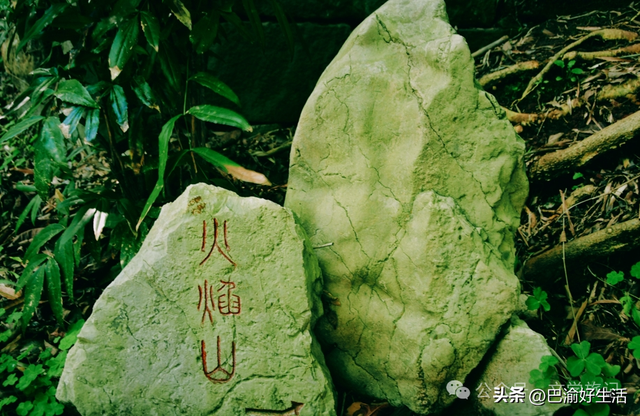 北碚公园竟是"大熊猫"命名地，原来藏着这么多秘密