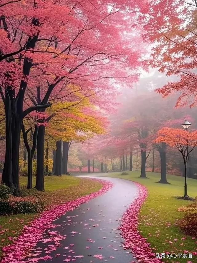 两性关系：55-65岁这十年，惜命的方式，不是锻炼，是做好这6点