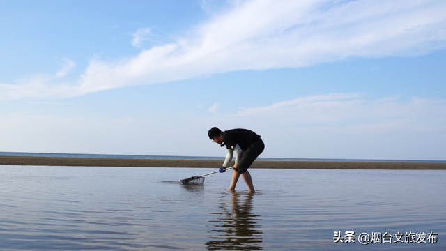 【乐游烟台】爆桶秘籍！烟台赶海zui全攻略速看→