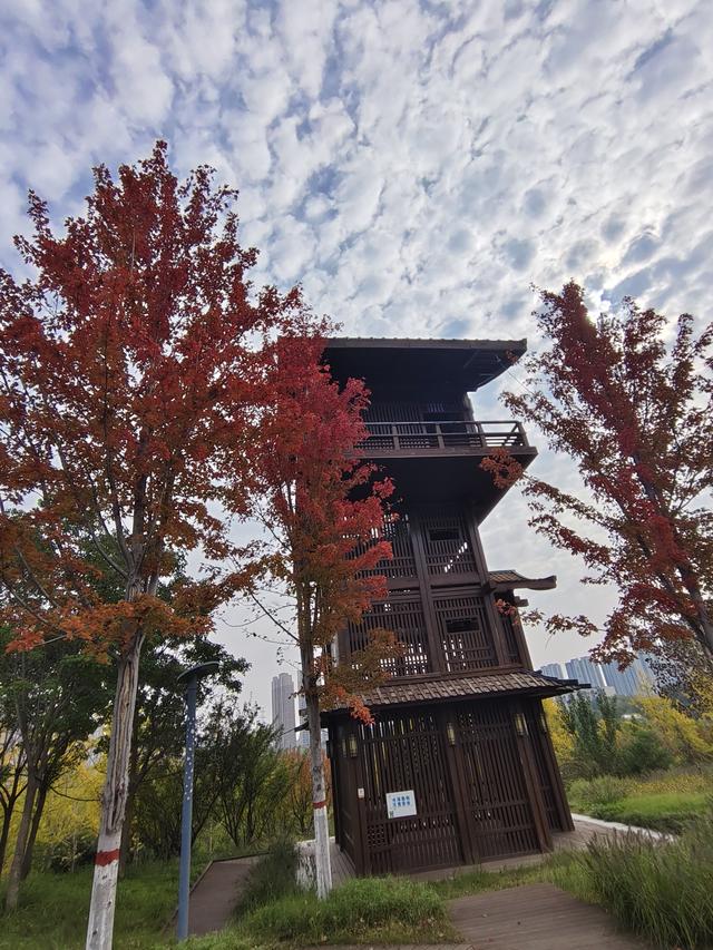 徒步穿越西流湖，赏秋正当时