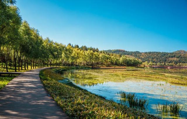 昆明最美湿地公园，坐地铁直达，适合溜娃，门票免费