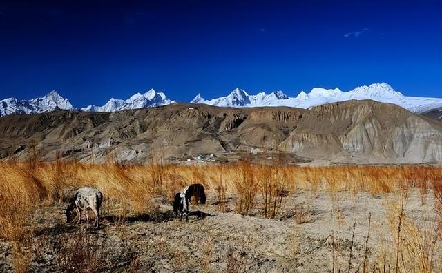这块地比藏南更为重要，距新德里300公里，中国进入南亚最好通道