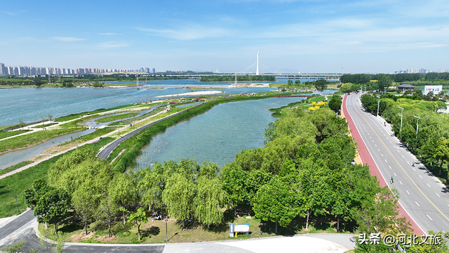 亲水观景！滹沱河晓月湖湿地提升后美爆了