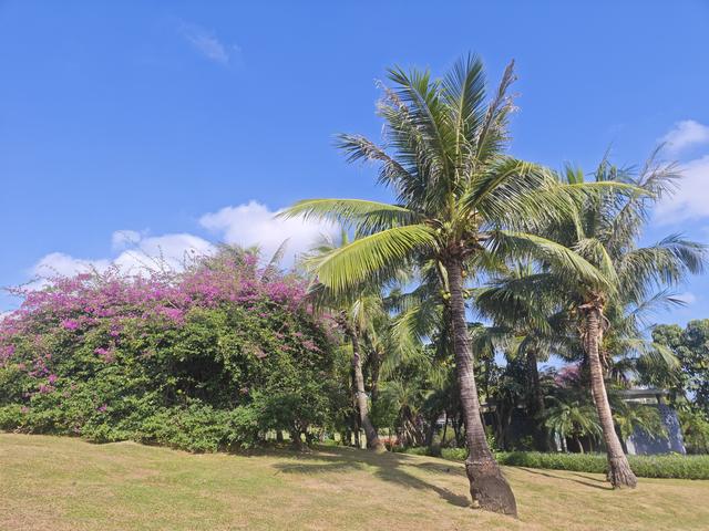 从学苑大道入大沙河绿过大学城后进深圳弯公园流花山景点【高清】