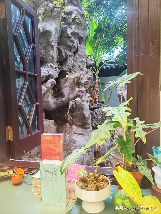 别挤上海！苏州民国洋楼章园，承包你读书、吃面、咖与茶一条龙