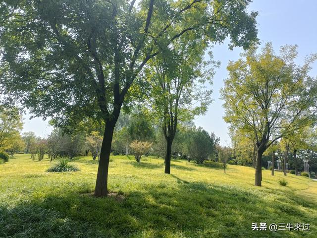 无为在歧路，国庆游淄博1