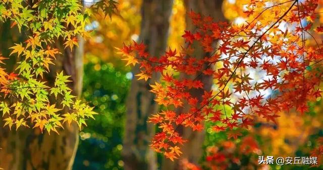 深季，打卡潍坊走走转转！