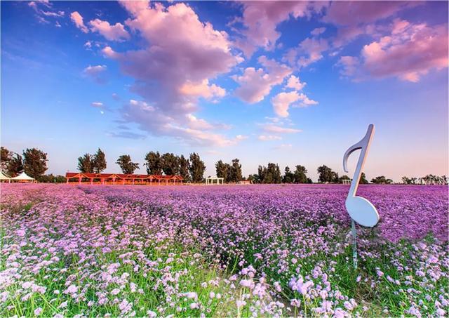 台州春行录：山海寻鲜，花间寻梦