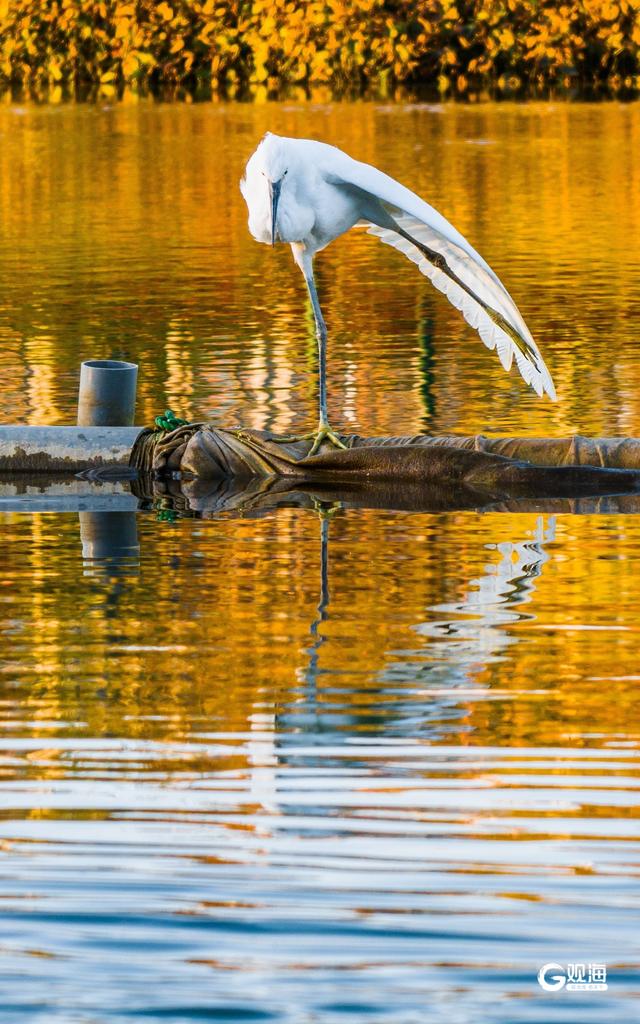 张村河生态绿廊成新晋宝藏休闲游玩地