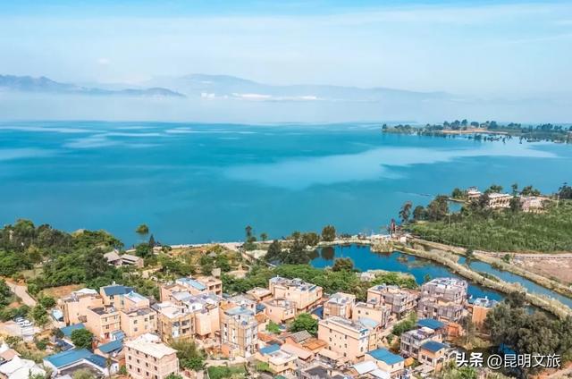 昆明人私藏观鸥地图+观杏!滴滴6折立减35元打车券直接薅