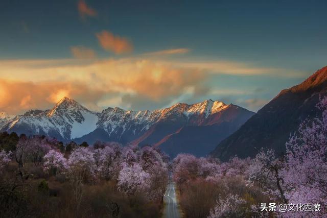 西藏这个地方，即将火爆！真正定义了什么是顶级春色！