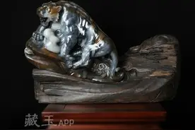 几千块钱买块脏皮料，有人说是老虎皮，最后竟然加价几万卖了出去图片