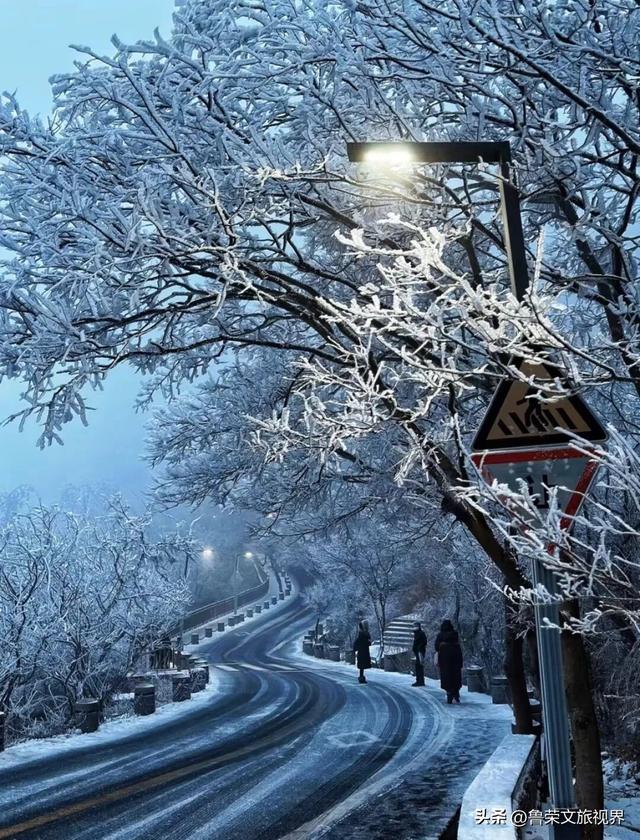 冬日连云港：一半冰雪，一半沧海的浪漫秘境