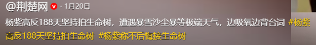 用力过猛？31岁杨紫面相变了	，走上“不归路”，张艺谋的话应验了