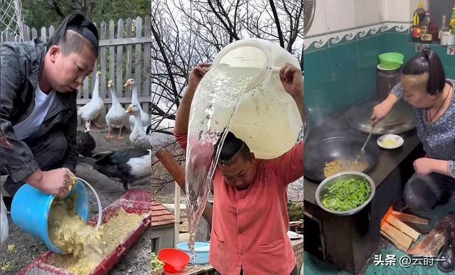 “底裤”都被扒光了？这一次官方出手，谁也救不了“东北雨姐”！