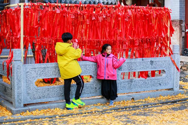 泰山普照寺，那最后的一树金黄