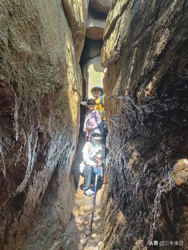 无为在歧路，避暑去鲁山