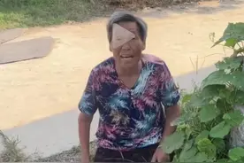 笑不活了！农村老太借院子种菜，结果想要宅子，胃口真大图片