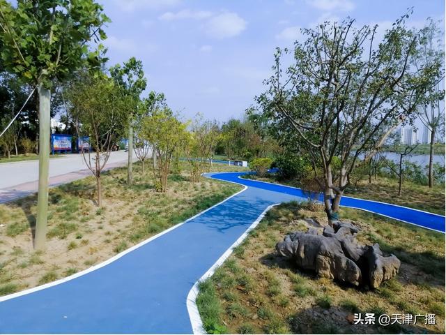 期待 | 大学城，再添美食街！