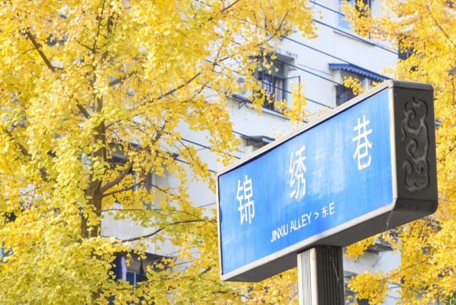 “顶流”来啦！“杏”福浓度超标→