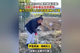 中国人的基因是农耕文化! 华人种菜冲上热搜, 网友评论区都是纪云浩图片
