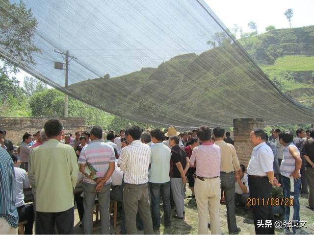 大地的儿子 ——记优秀共产党员张秉文