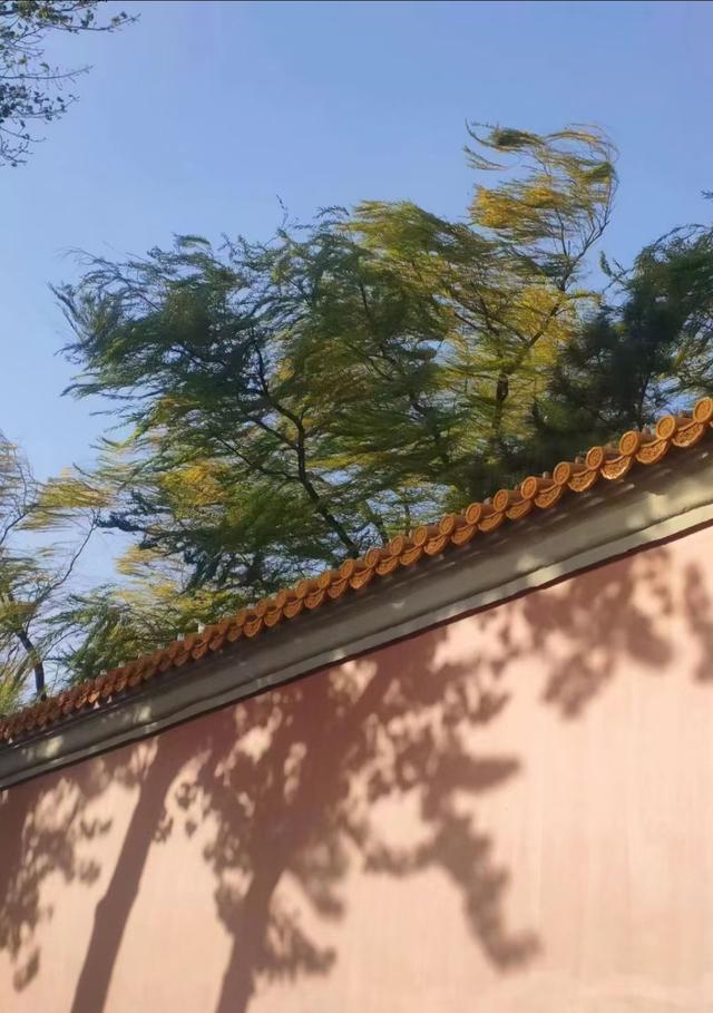 王林平随笔《周日路过地安门》