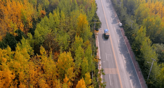 秋日限定美景，还不赶紧来拍？